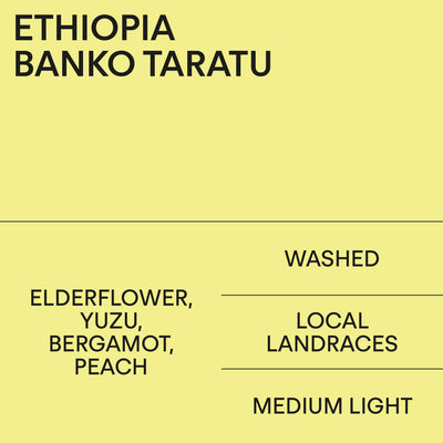 Ethiopia Banko Taratu