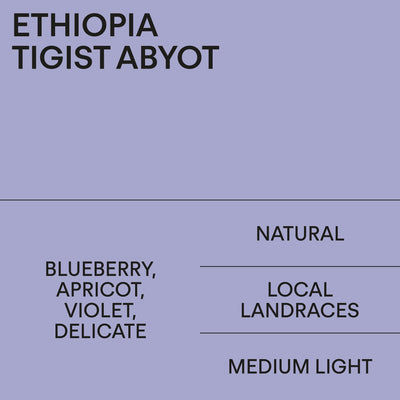 Ethiopia Tigist Abyot