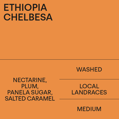 Ethiopia Chelbesa