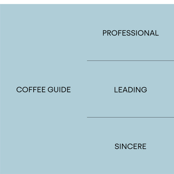 Core values — Professional, Coffee Guide, Leading, Sincere