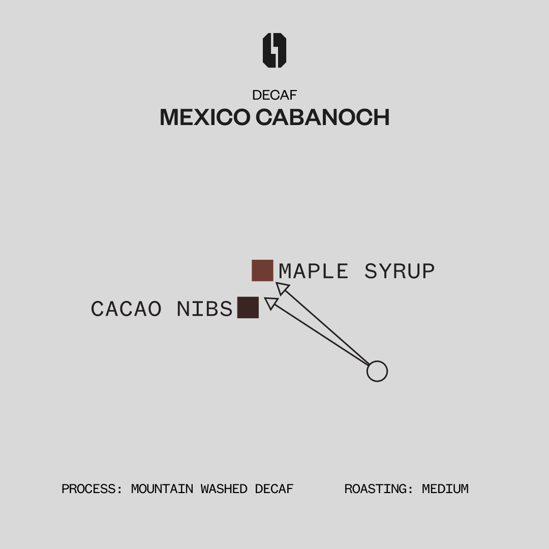 DECAF - Mexico Cabonach Decaf