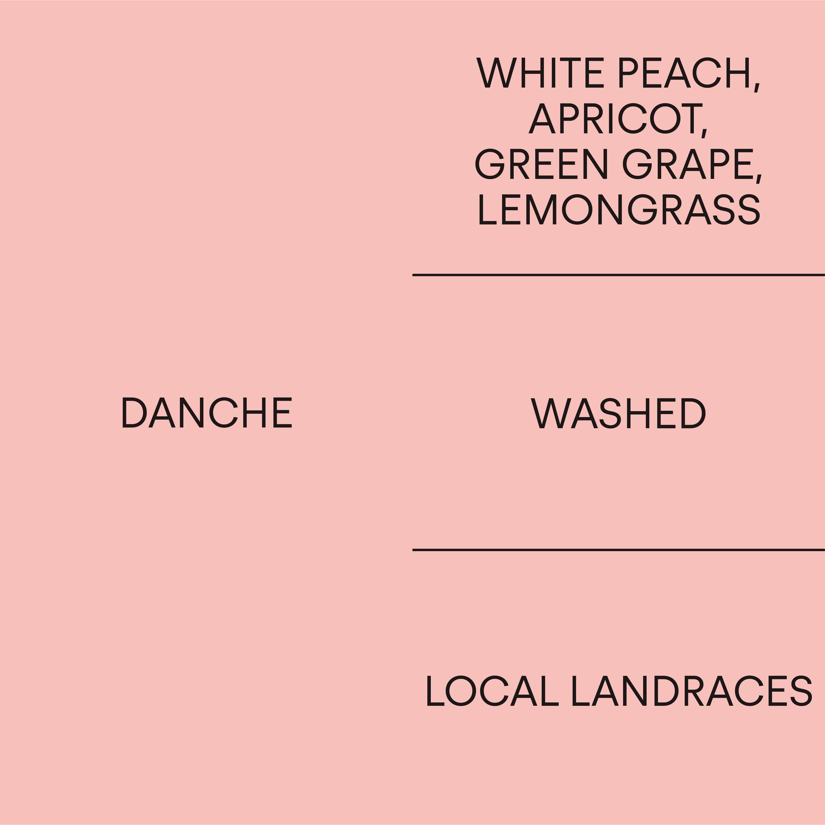 Ethiopia Danche