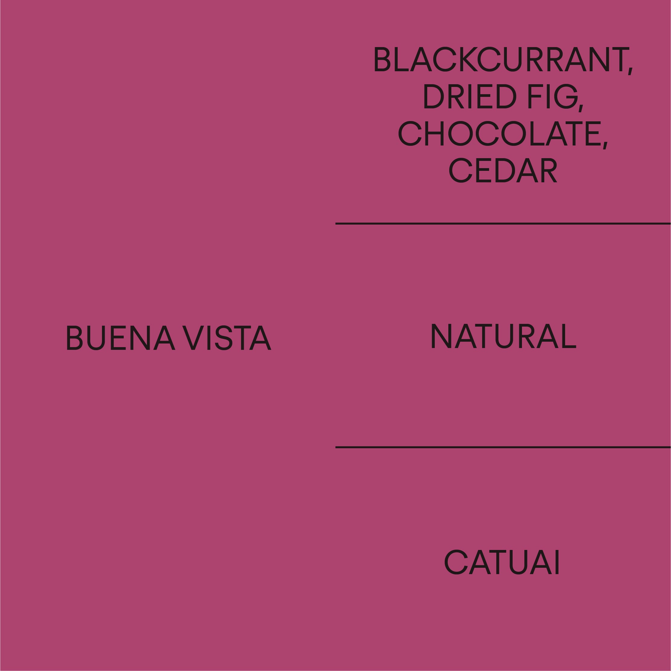 Guatemala Buena Vista