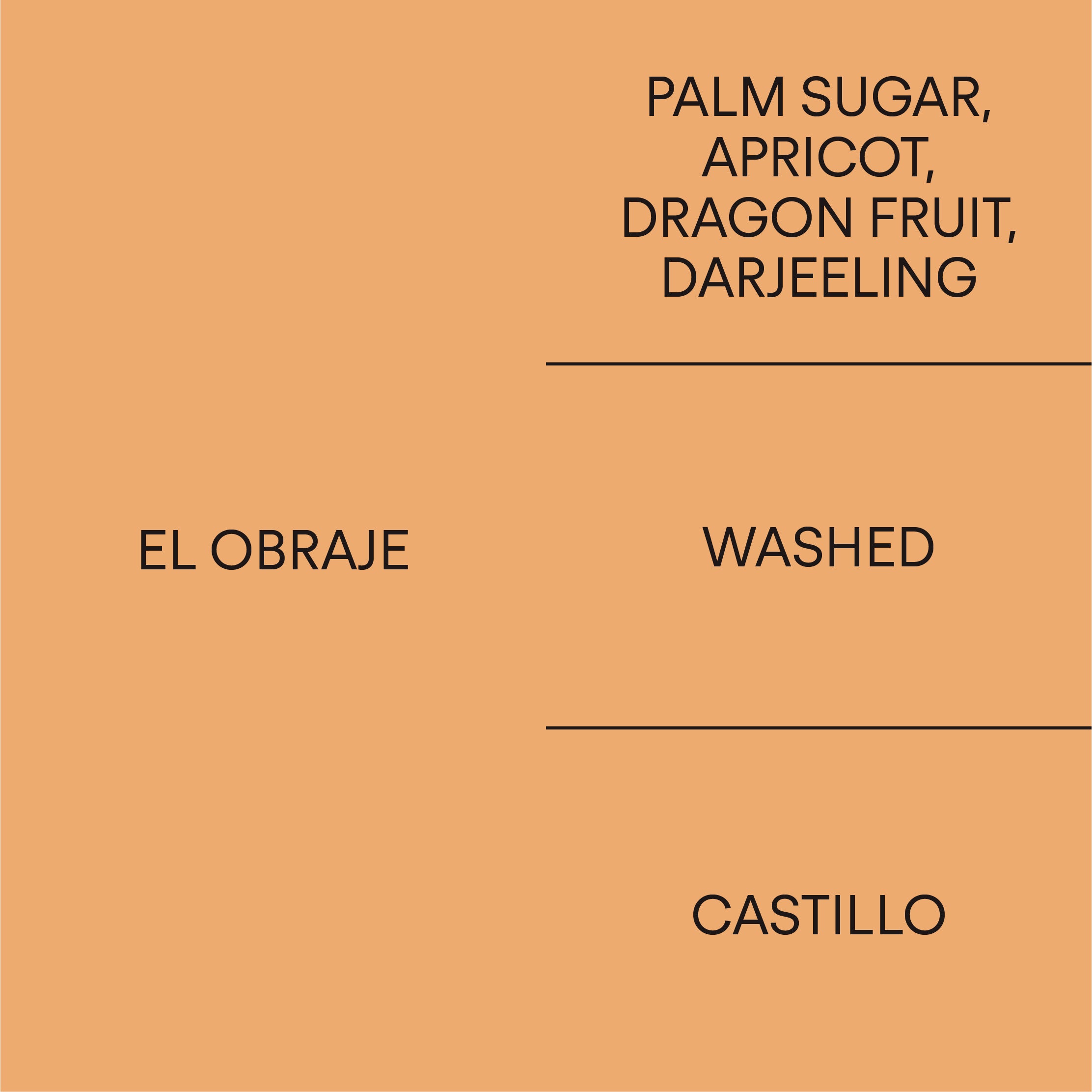 El Obraje: Castillo