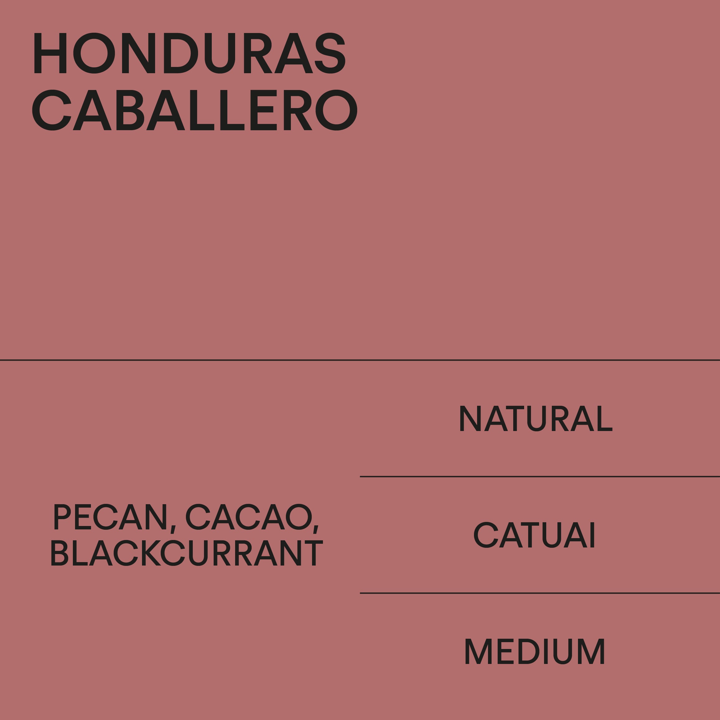 Honduras Caballero