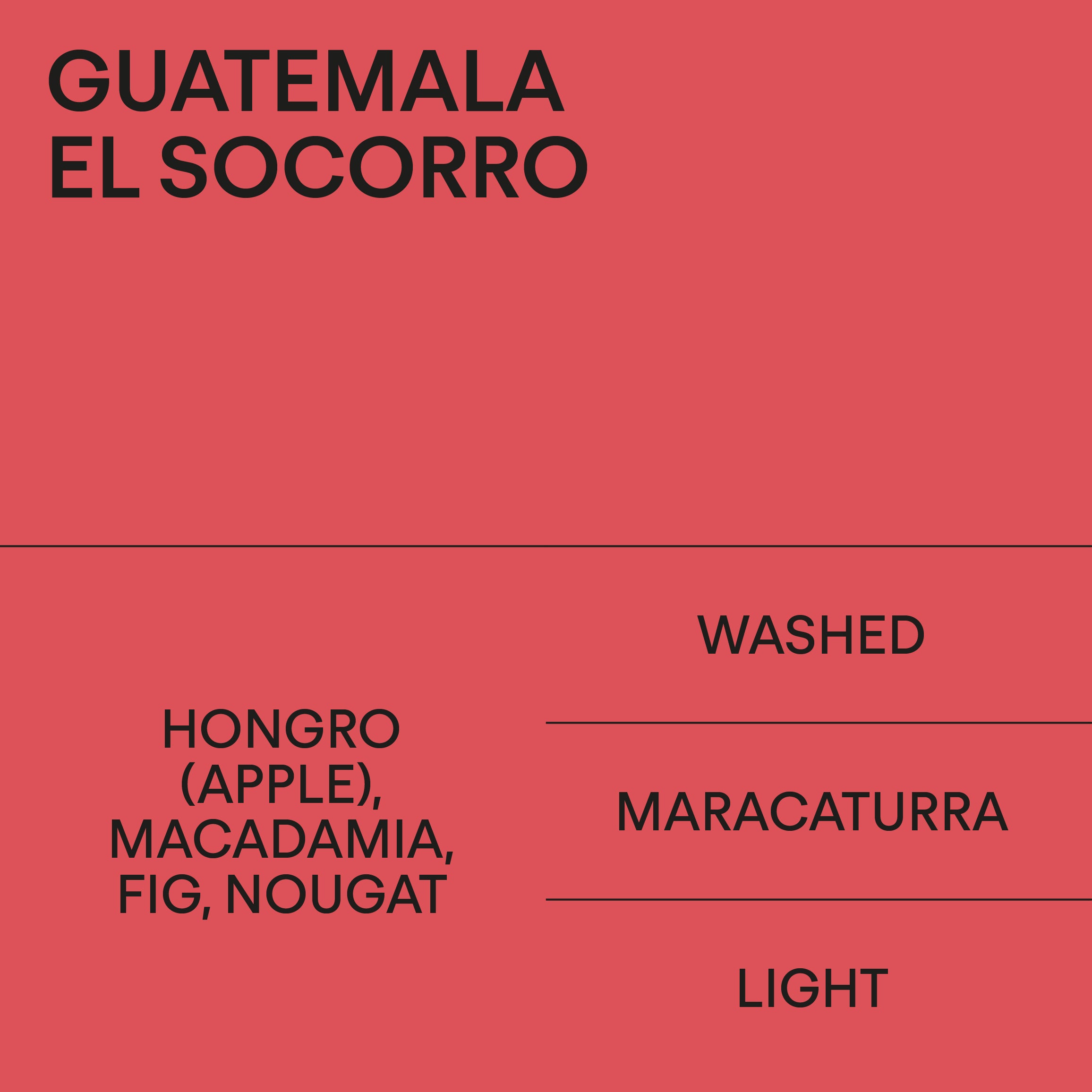 Guatemala El Socorro