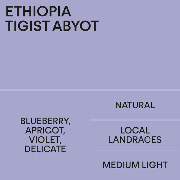 Fact Sheet