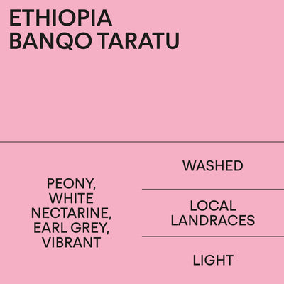Ethiopia Banqo Taratu Washed
