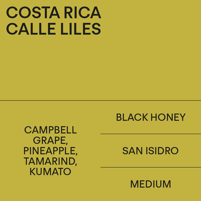 Costa Rica Calle Liles