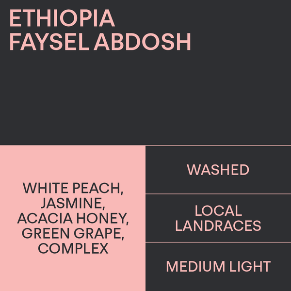 Fact Sheet