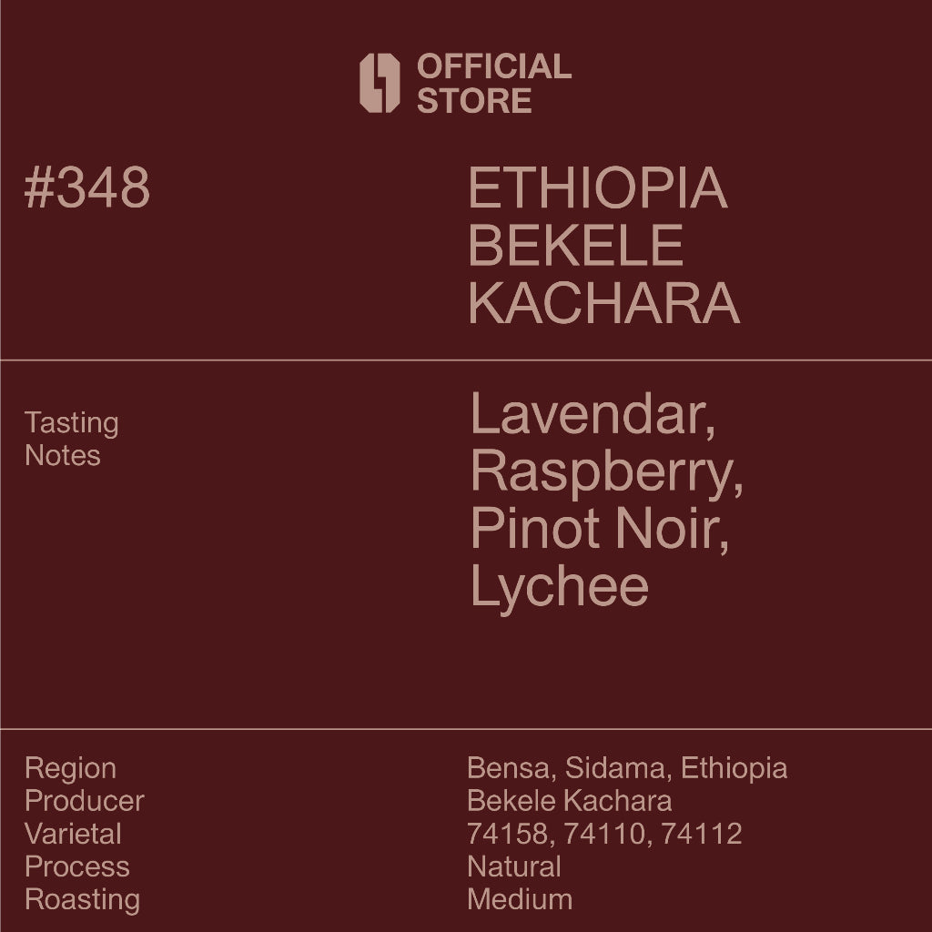 #348 Ethiopia Bekele Kachara | Single Origin MARCH Series