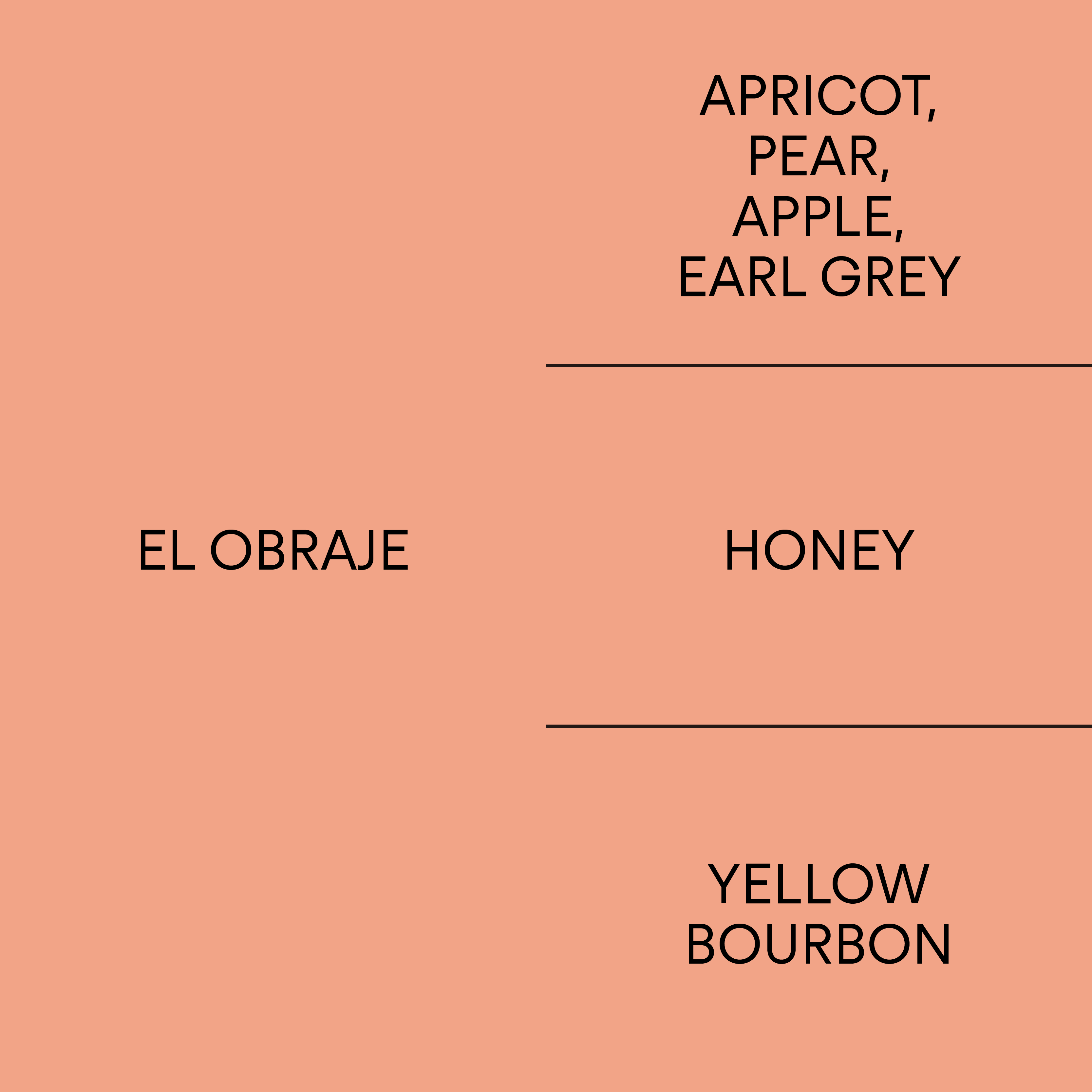 El Obraje: Yellow Bourbon