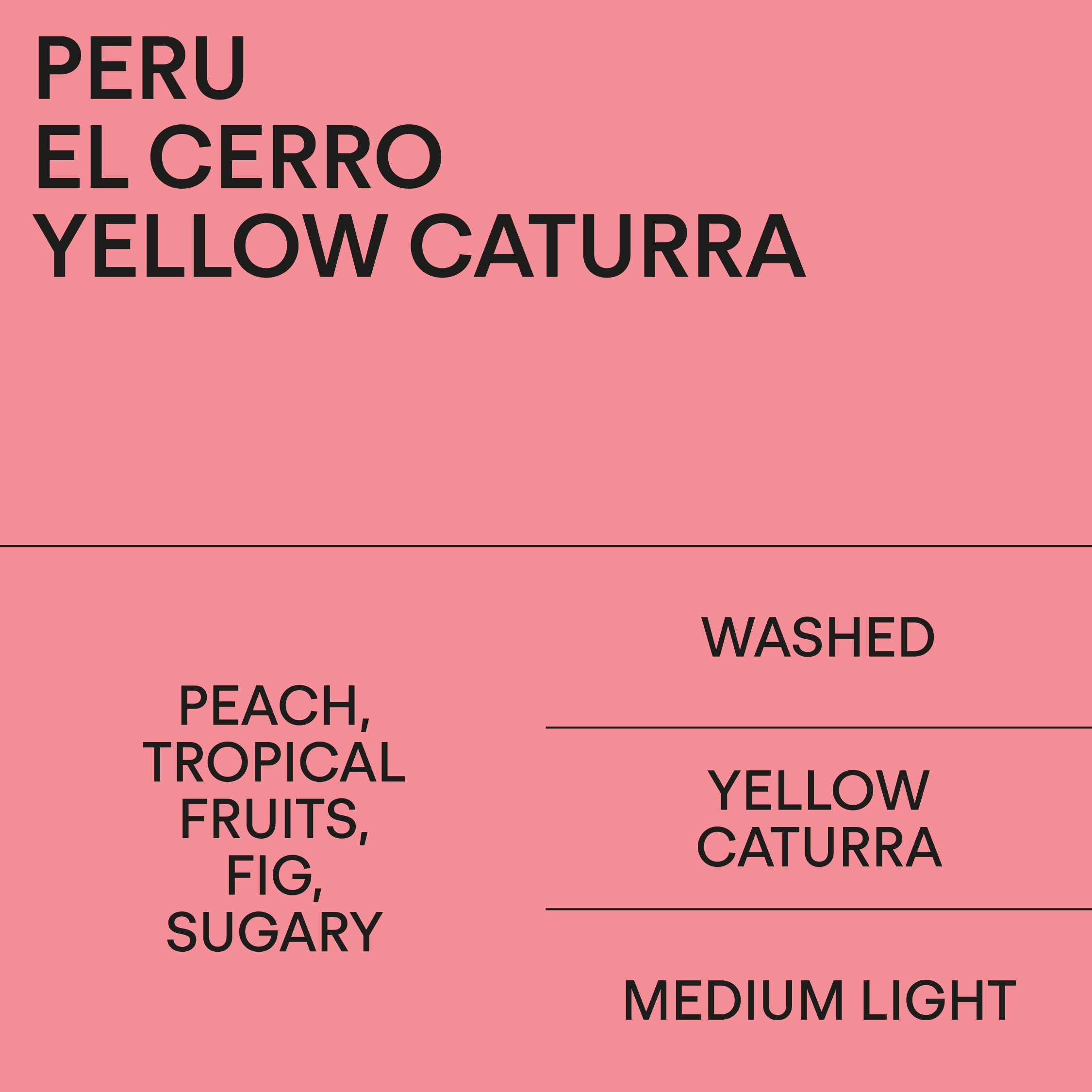 Peru El Cerro Yellow Caturra