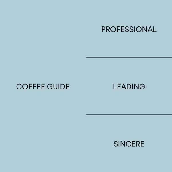 Core values — Professional, Coffee Guide, Leading, Sincere
