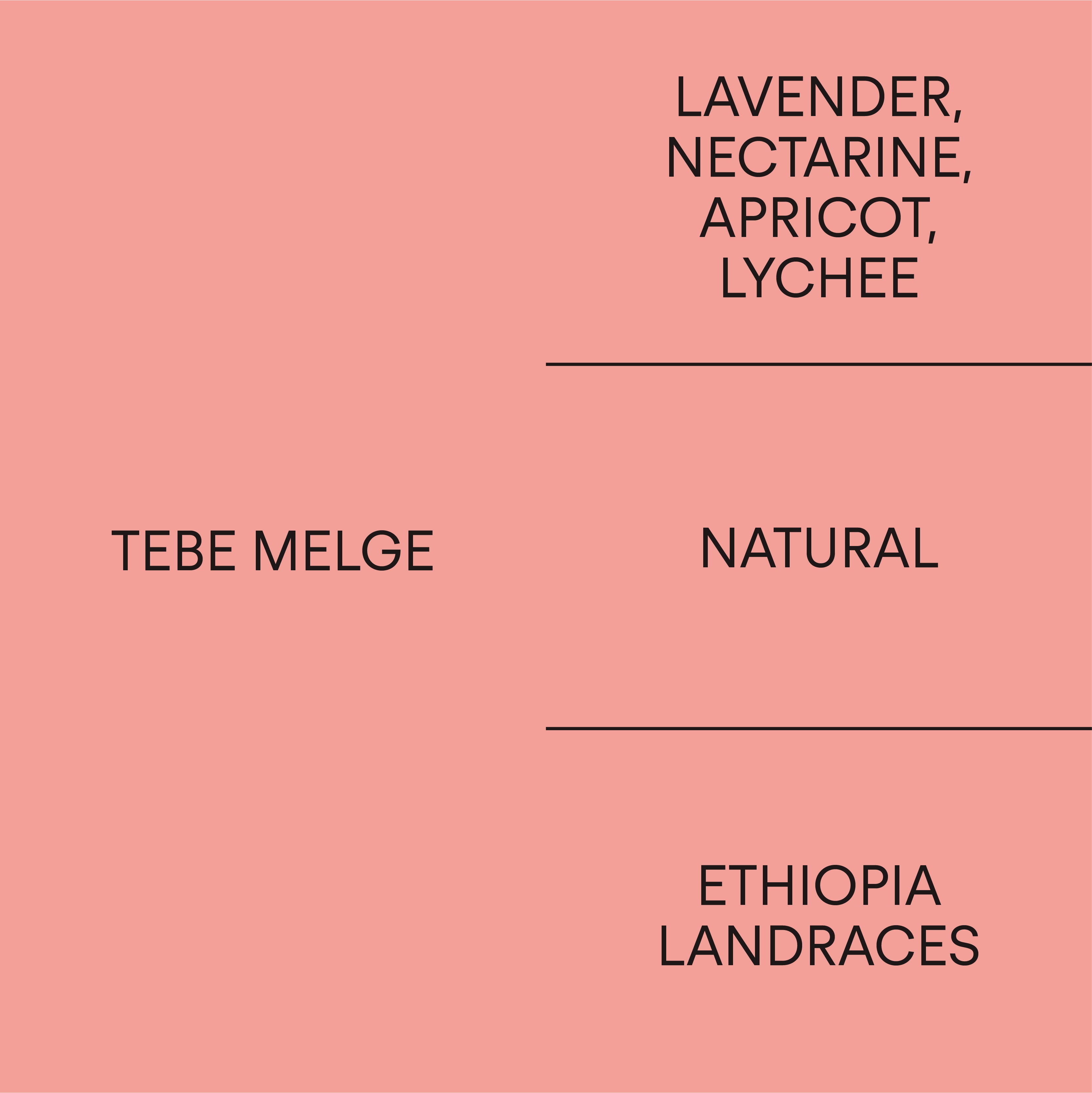 Ethiopia Tebe Melge