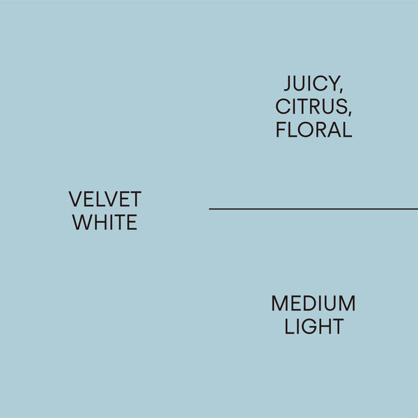Fact Sheet