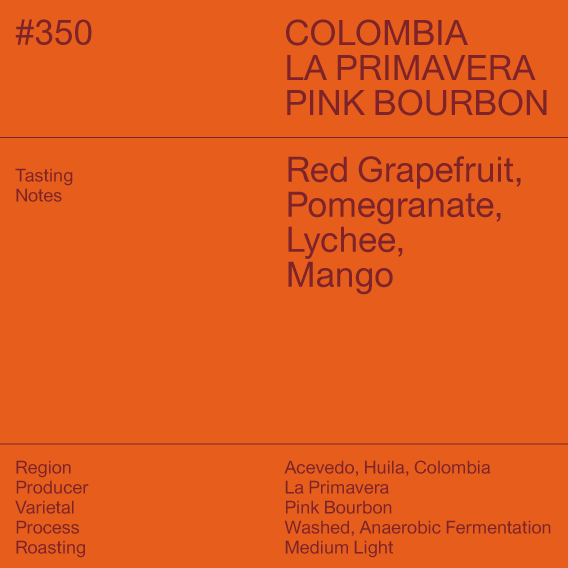 #350 Colombia La Primavera Pink Bourbon | Single Origin APRIL Series