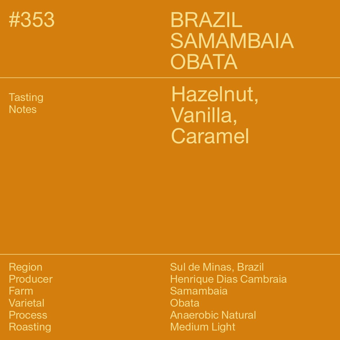 #354 Brazil Samambaia Obata | SINGLE ORIGIN MAY SERIES