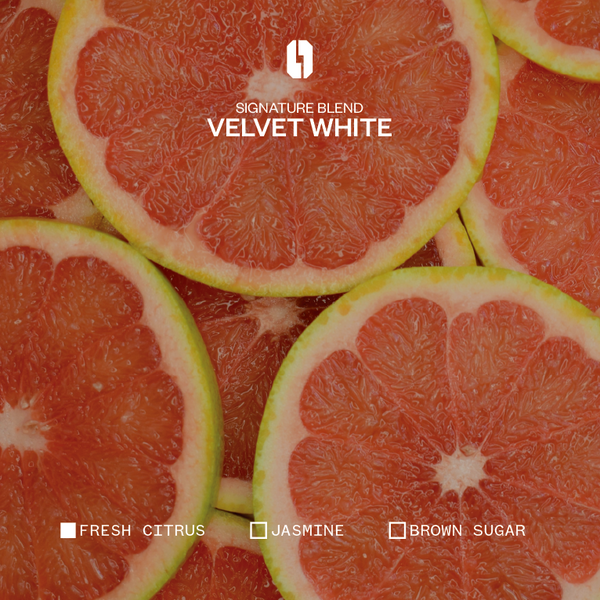 Velvet White