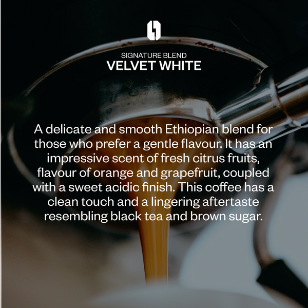 Velvet White